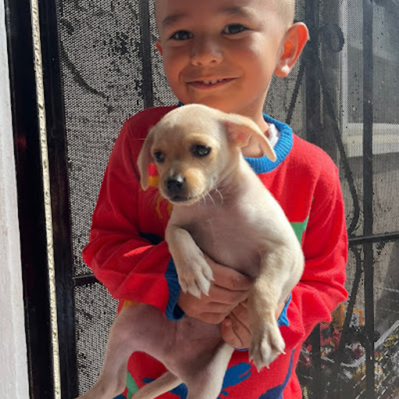 Meet your Posher, Britanith - Picture 1 of 1